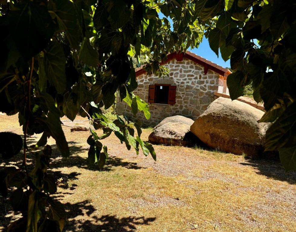 Zahrada ubytování Authentique Casellu en pierre à Porticcio avec vue sur la mer