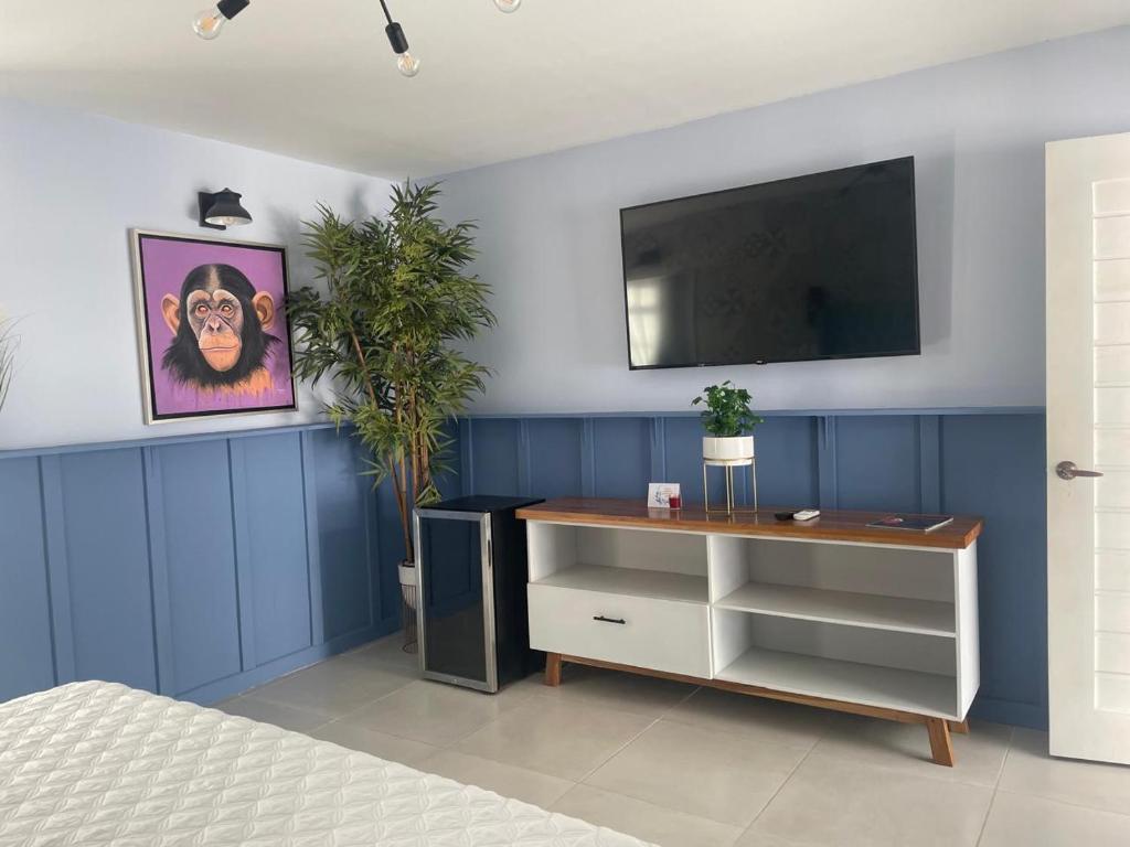 TV a/nebo společenská místnost v ubytování Hotel Mono Azul