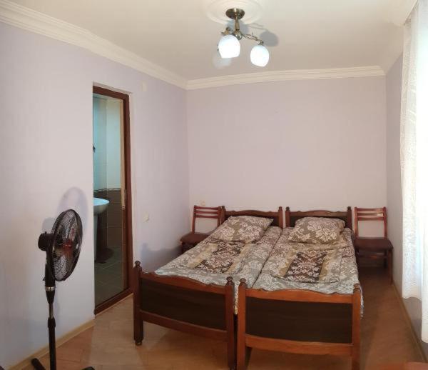 Guest House Rustaveli - Budget Twin Room