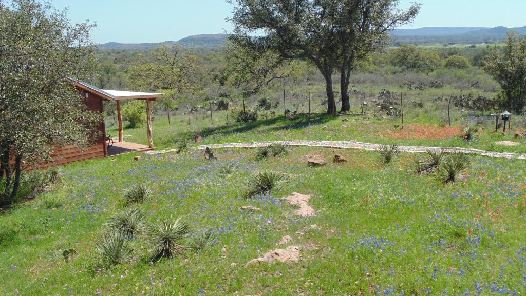 a field with a gazebo and a field of flowers at Texas T Bed and Breakfast in Llano