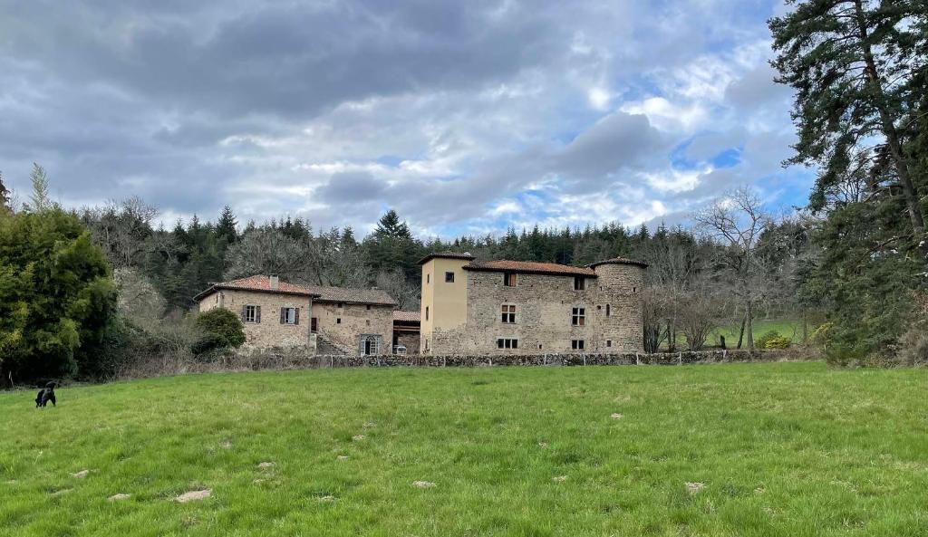 un bâtiment dans un champ avec un chien dans un champ dans l'établissement Château du Bouy, à Champétières