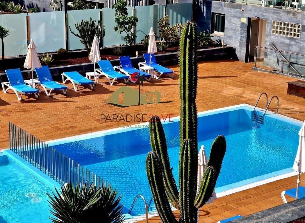 The swimming pool at or close to Atlantida del Sol Corralejo