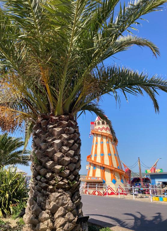 a palm tree in front of a lighthouse at Kelston Guest House in Weymouth