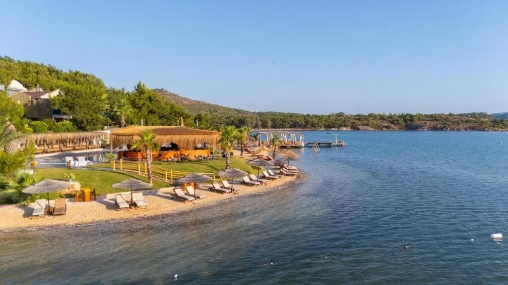 a beach with chairs and umbrellas and the water at Ivy Sailing Resort Hotel in Ayvalık