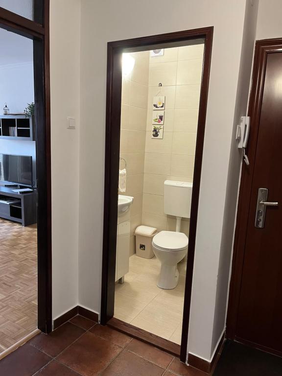a bathroom with a toilet and a sink at Apartman Selaković in Bela Crkva