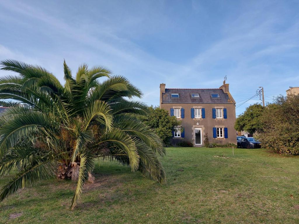 un palmier devant une grande maison dans l'établissement À 400m de la plage, charmante maison pour 7, à Plouguerneau