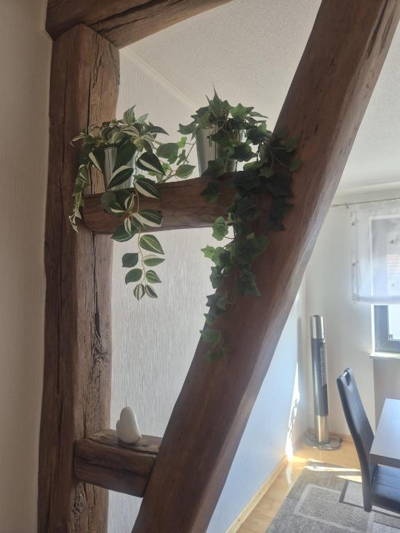 Fotografie z fotogalerie ubytování Ferienhaus Zimmer v destinaci Perl
