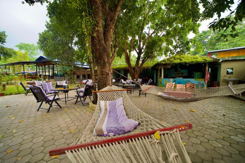 Zahrada ubytování Chitwan Gaida Lodge