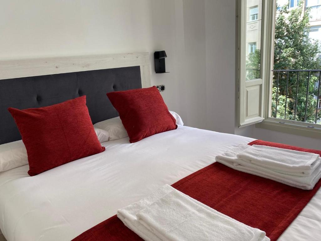 Pinar Malaga Centro - Ferrandiz - 9