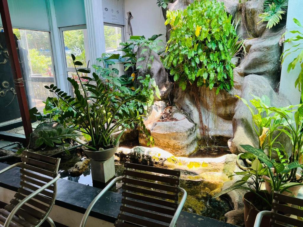 Zahrada ubytování Sky Bello Hotel