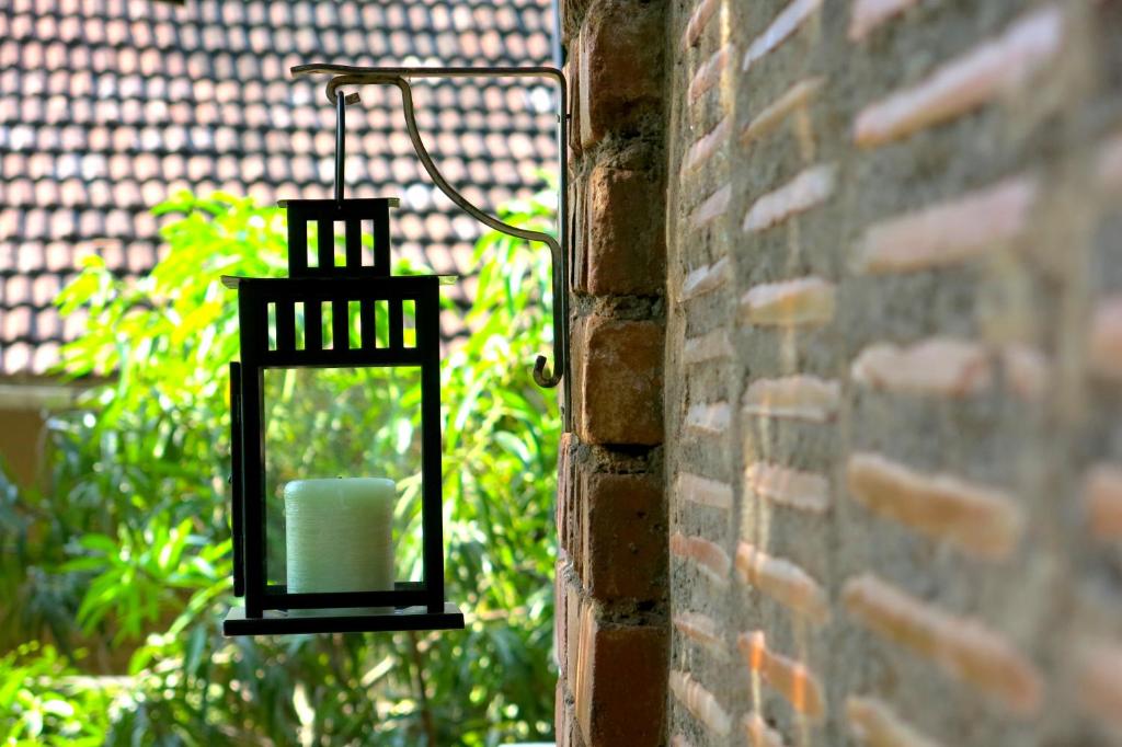 Jardin de l'établissement Clayfingers Art Cottage
