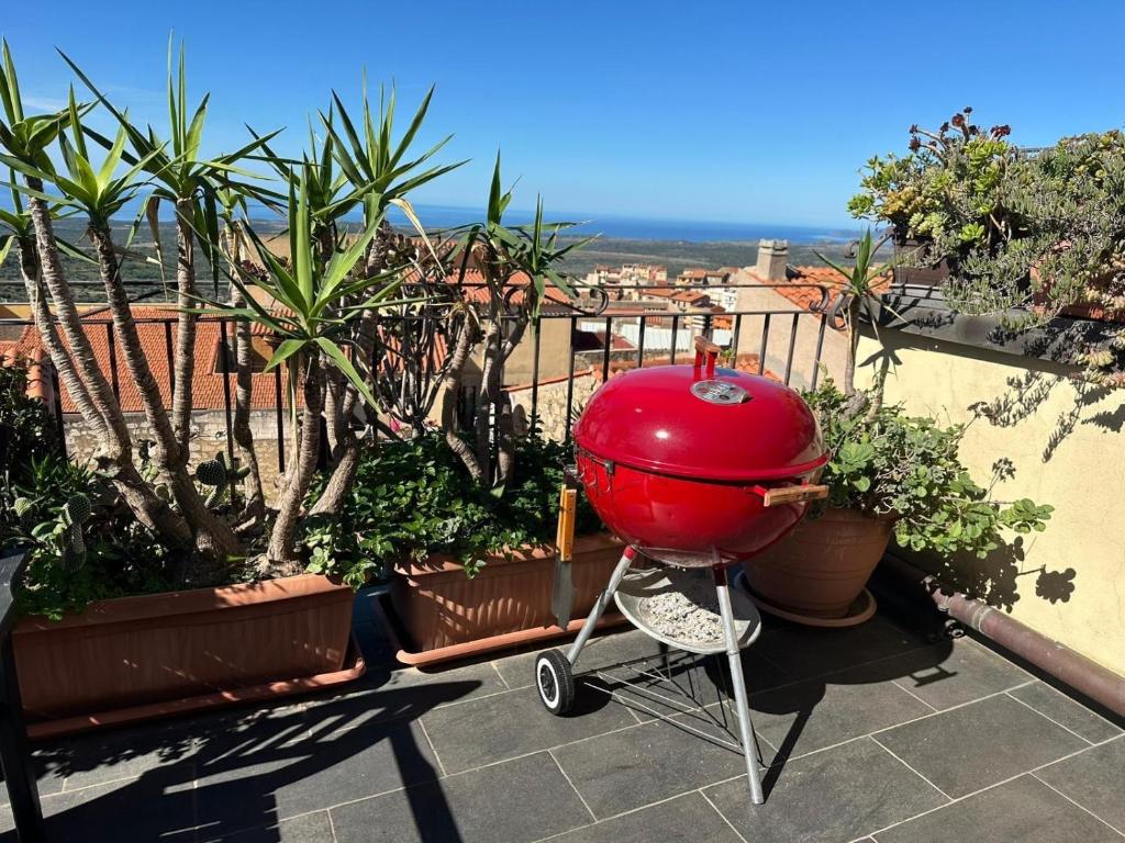 a red bowl on a wheelbarrow on a balcony with plants at Fantastic Large House with Beautiful Roof Terraces in Cuglieri