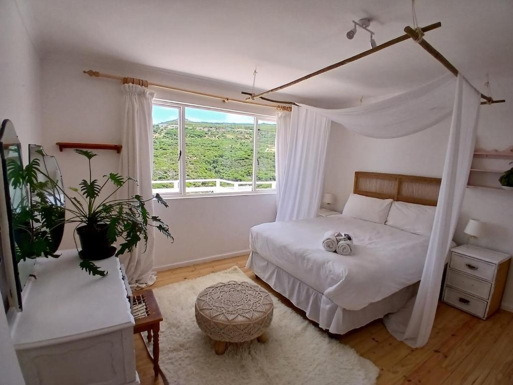 a bedroom with a canopy bed and a window at Sea Rose Cottage with Hot Tub in Dido Valley