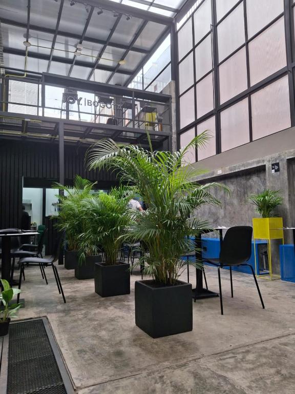 Fotografie z fotogalerie ubytování Hostel Joy Calle 85 v destinaci Bogotá
