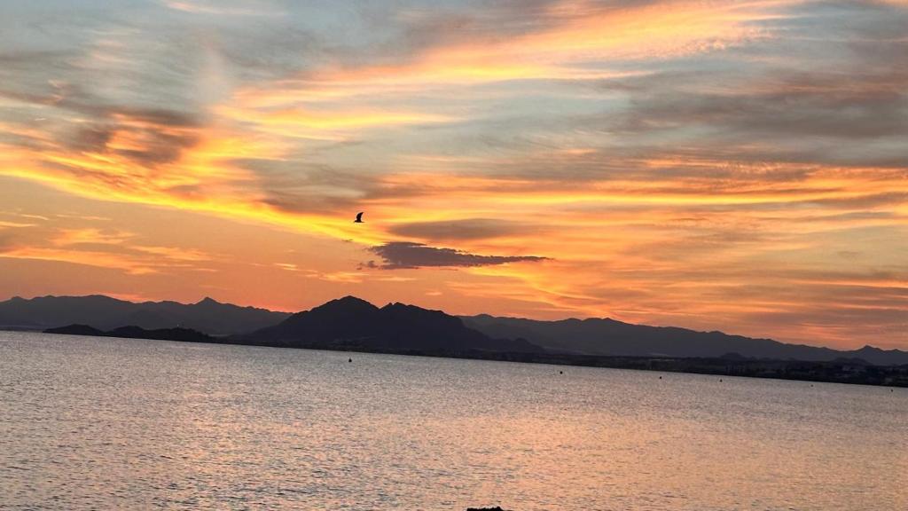 a bird flying in the sky over a body of water at Casa del Mar in Puerto de Mazarrón