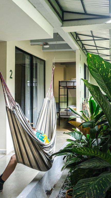 Fotografie z fotogalerie ubytování Selva House v destinaci Medellín