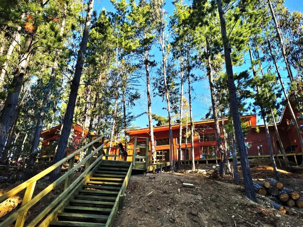a cabin in the woods with stairs leading to it at Bosque marino in Pichilemu