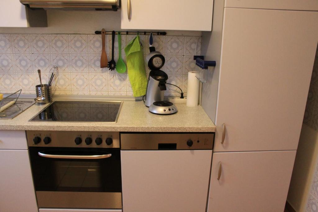 Kuchyň nebo kuchyňský kout v ubytování Apartments Eichenweg