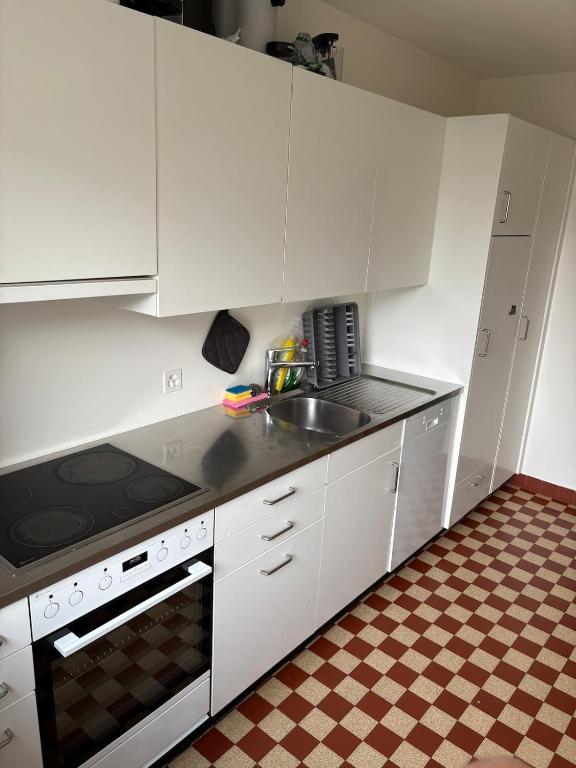 Apartment in Basel - Resim 10