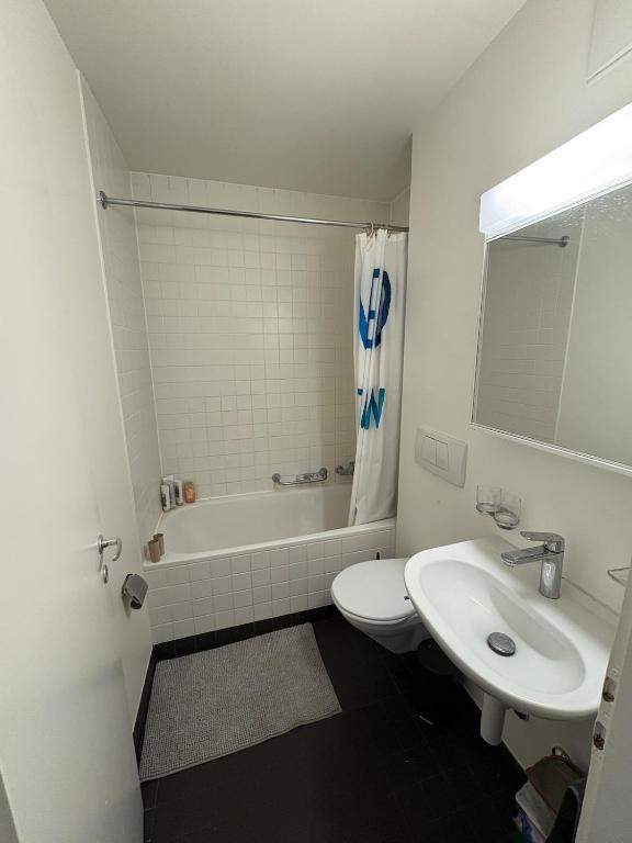 Apartment in Basel - Resim 7