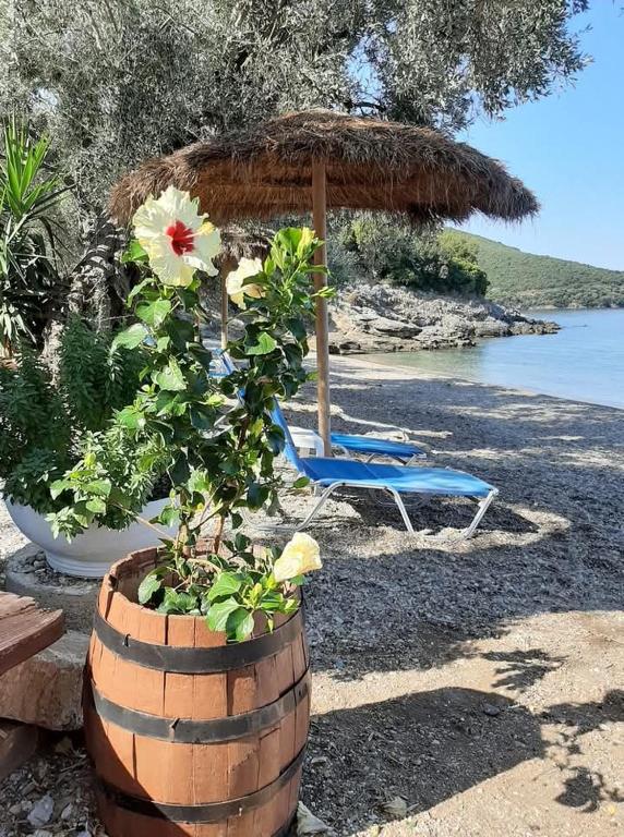two chairs and an umbrella and a barrel with a plant at MARATHIAS BEACH MISS ASIMENIA One empty pitch for your RV ΜΙΑ ΘΕΣΗ CAMBING RV in Milina