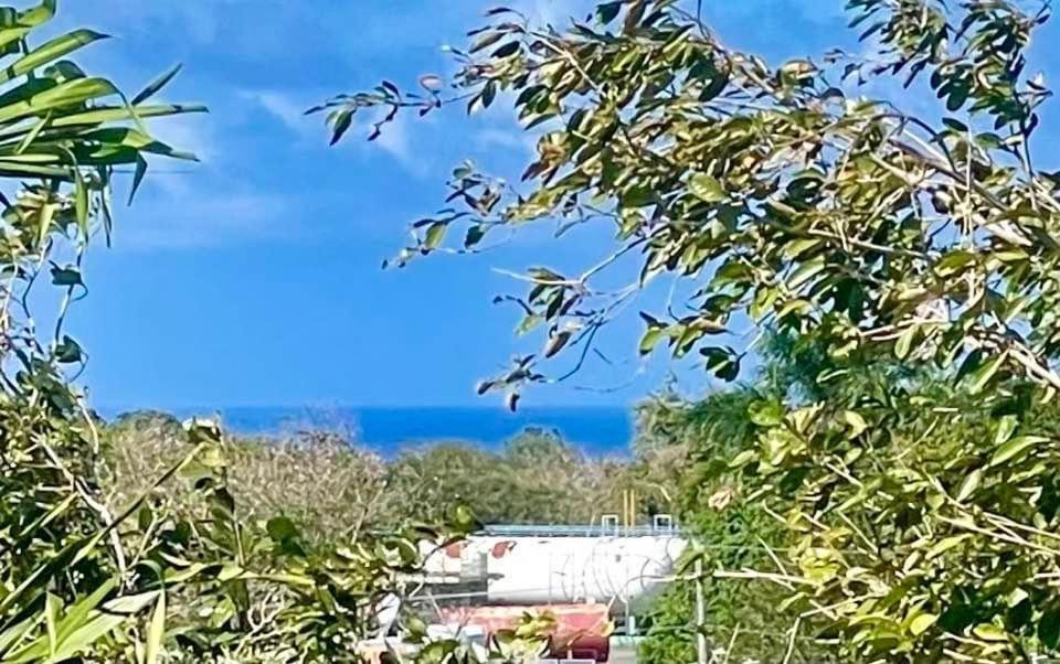 La Lomita Bambua