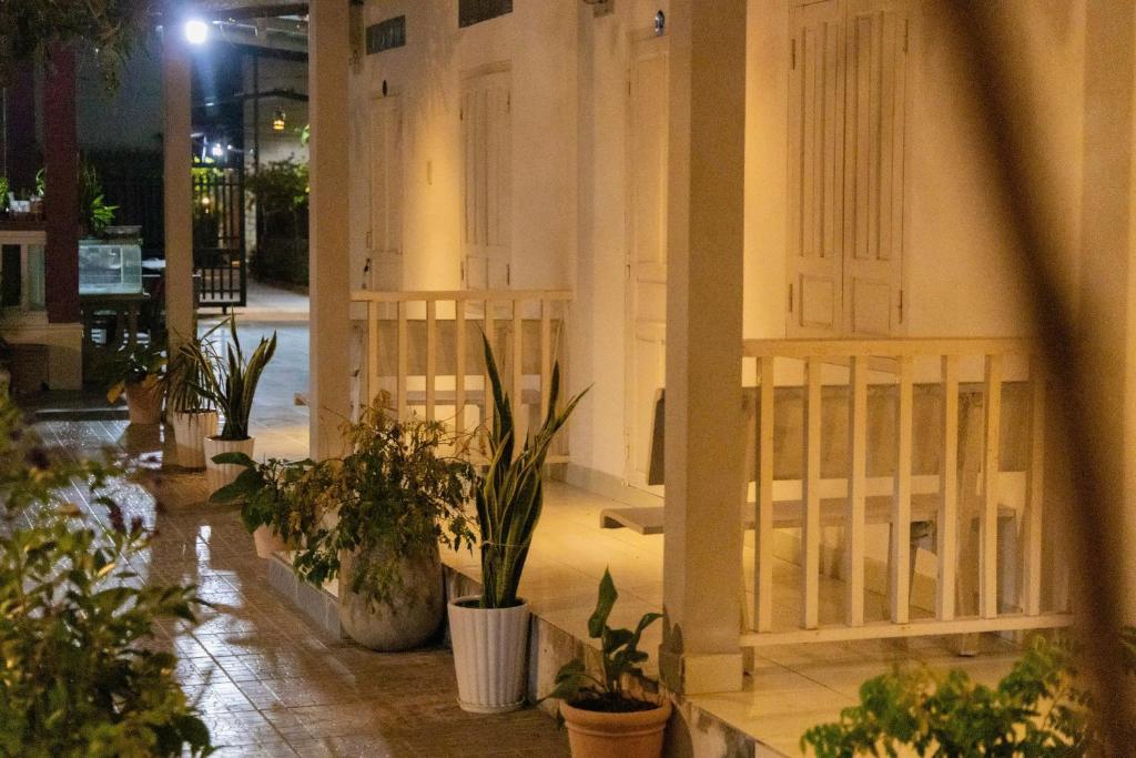 Vườn quanh BinhYen Homestay