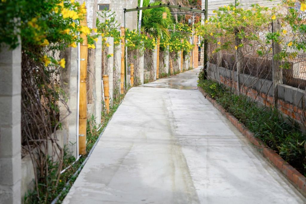 Vườn quanh BinhYen Homestay