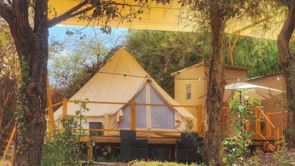 Zahrada ubytování Glamping Dunas del sol