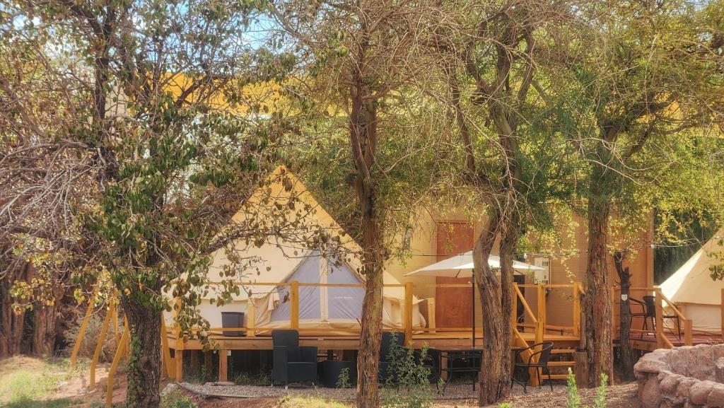 Zahrada ubytování Glamping Dunas del sol