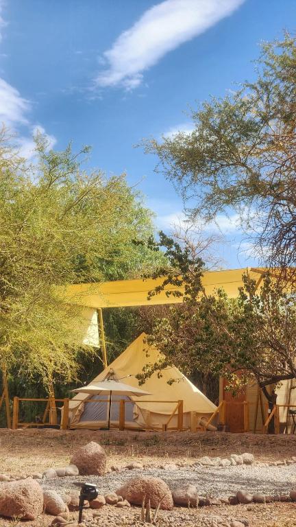Příroda nedaleko luxury tent