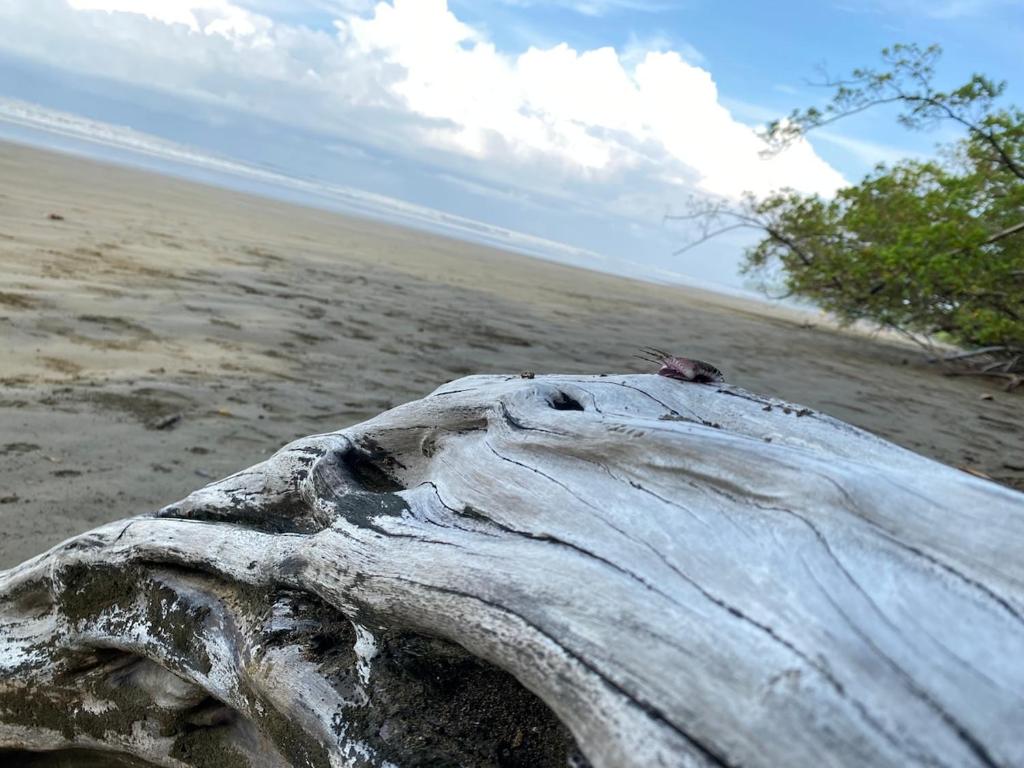 Natuurlandschap vlak bij het appartement