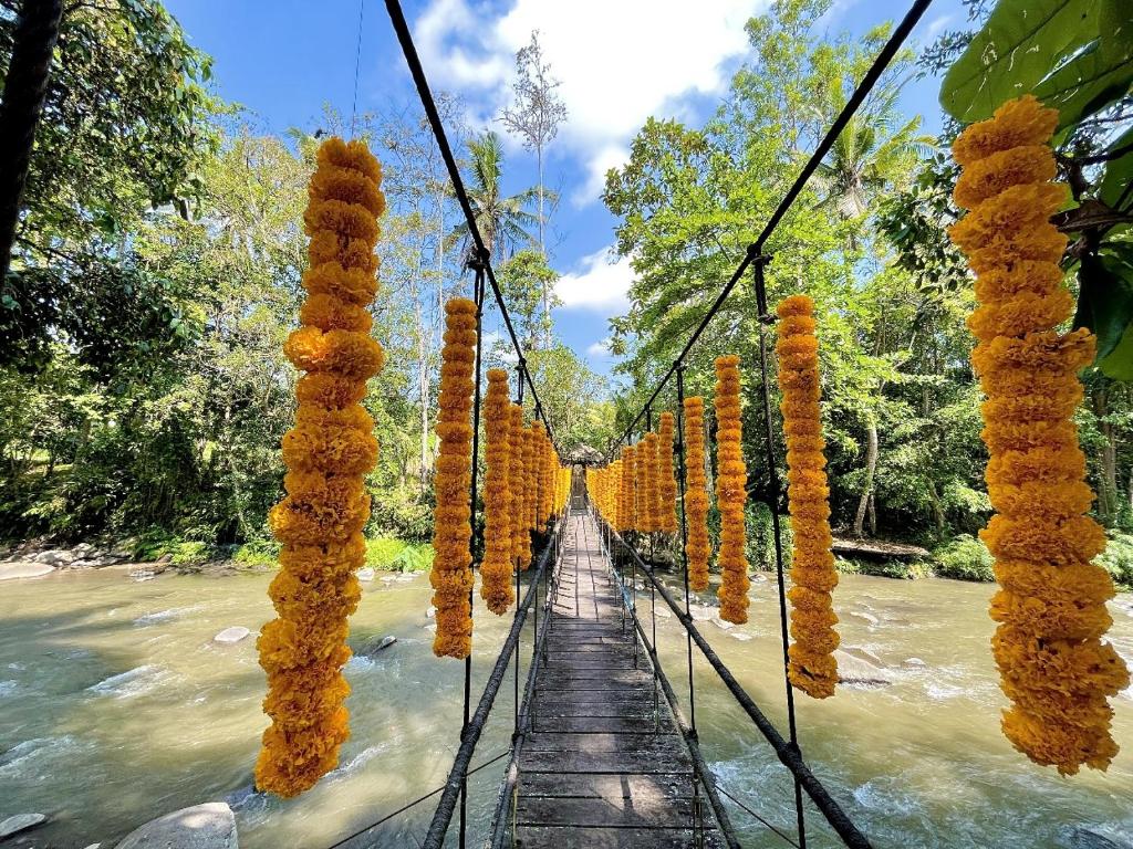 a suspension bridge over a river in a forest at Permata Ayung Private Estate in Ubud