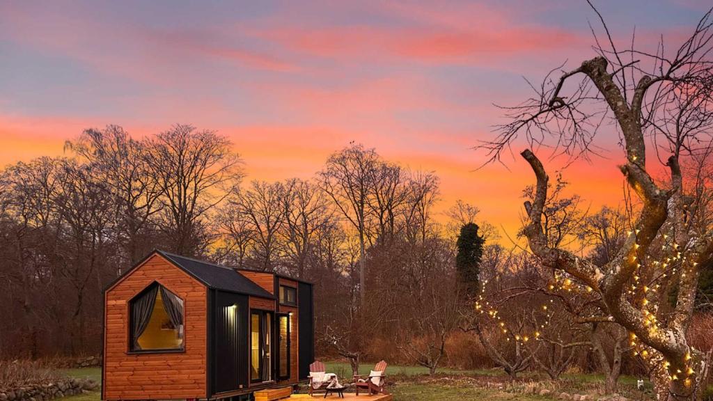 a tiny house in the woods at sunset at Little Harmony House by Tiny Away in Jægerspris