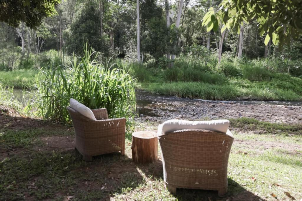 Zahrada ubytování RESET Tallebudgera Valley