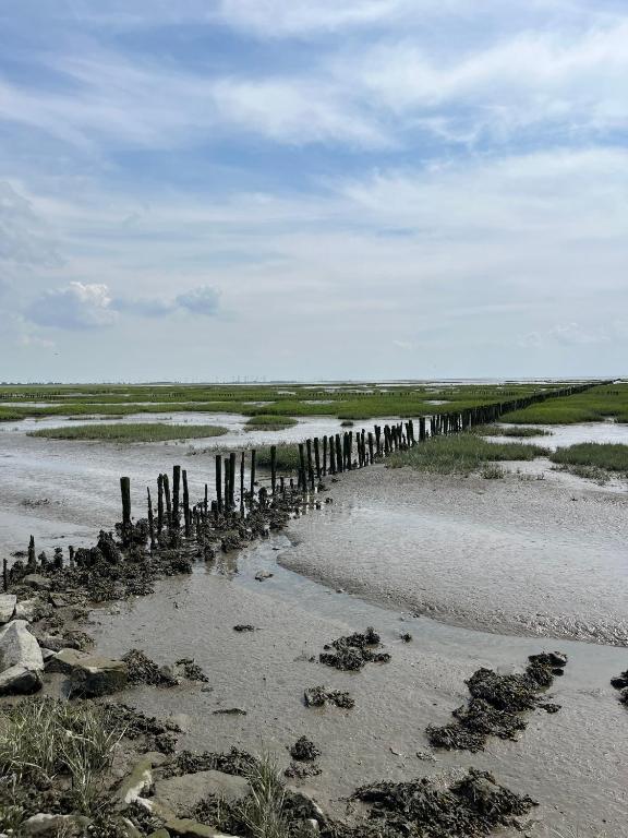 a beach with a group of wooden posts in the sand at Ferienhaus 'Welle und Watt' - 2024 neu renoviert in Friedrichskoog-Spitz
