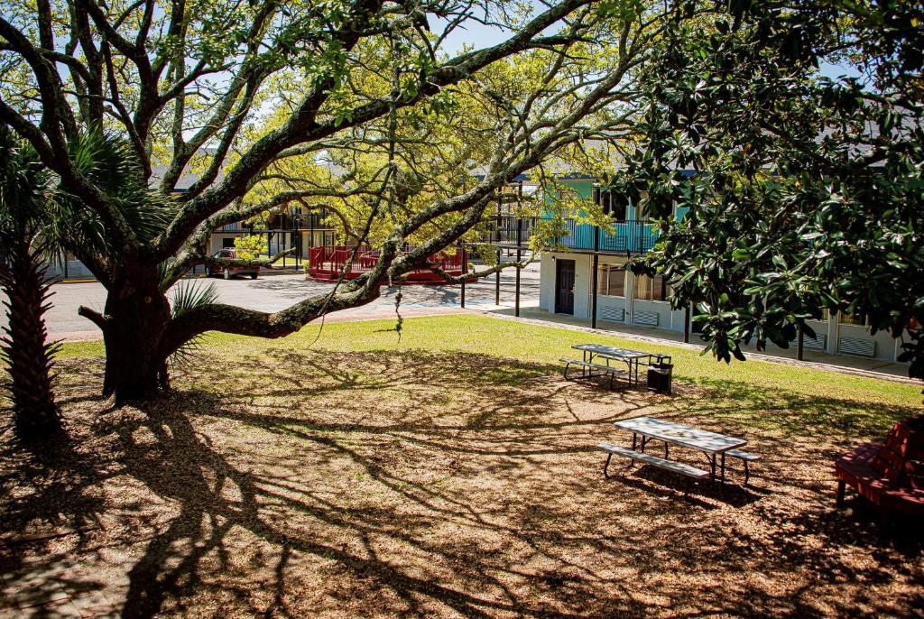 a park with a bench and a tree in the shade at Super 8 by Wyndham Biloxi in Biloxi