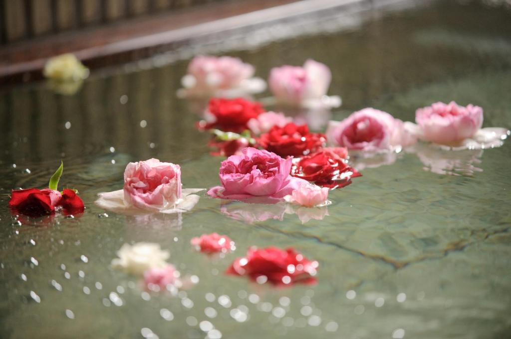 Fotografie z fotogalerie ubytování Kappo Ryokan Shiroyama v destinaci Kasama