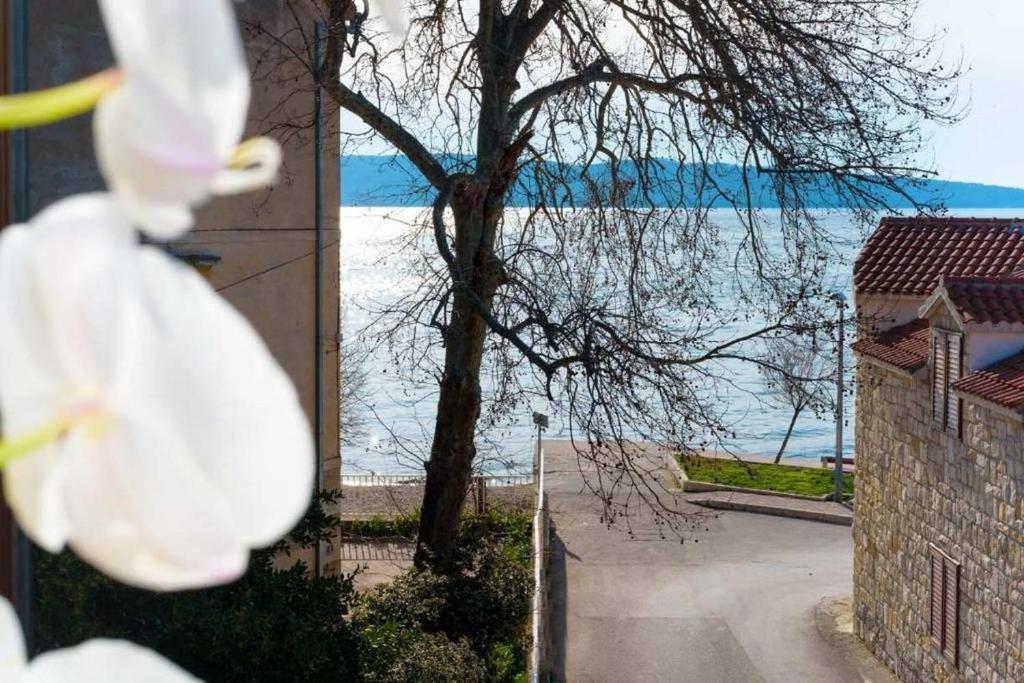 Apartment 4483-2 for 6 Pers in Kastel Kambelovac