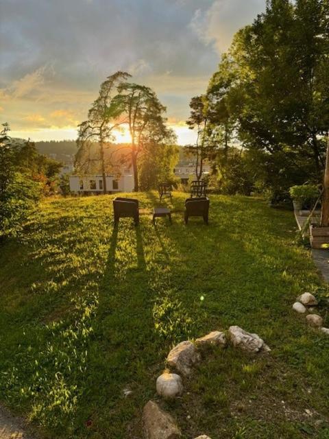 Příroda nedaleko bed and breakfast