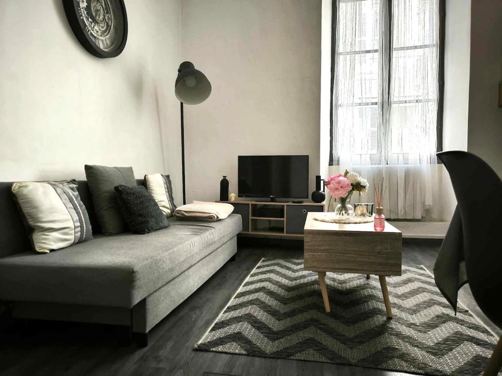 un salon avec un canapé et une télévision dans l'établissement Appartement dans le cœur historique d'Avignon, à Avignon