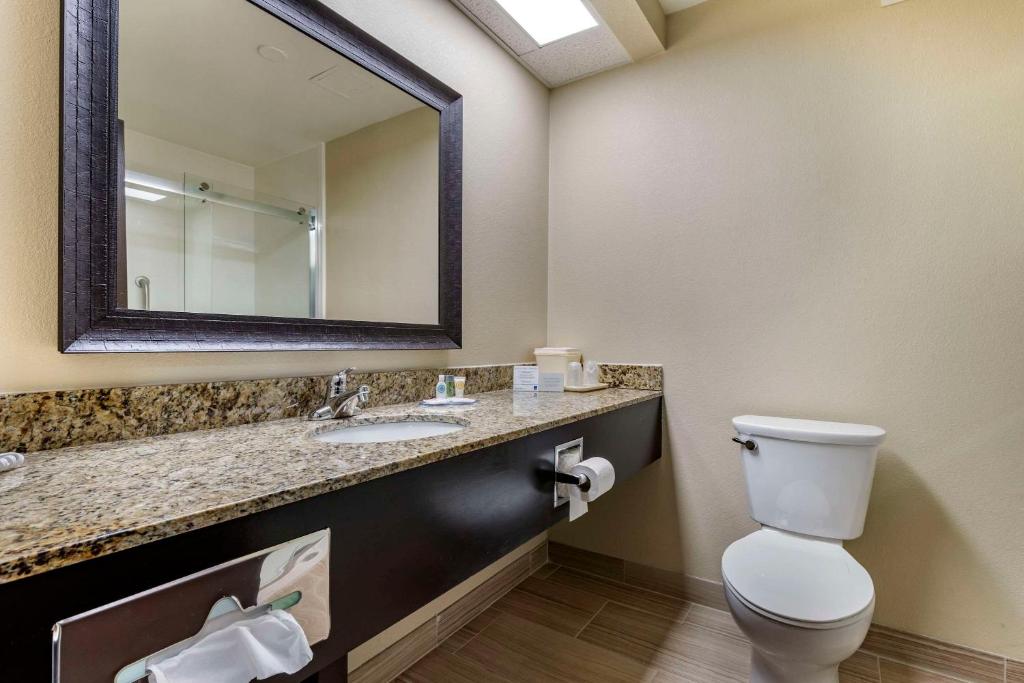 Comfort Inn near Downtown & Blue Ridge PKWY - King Room With Parking Area View - Non-Smoking