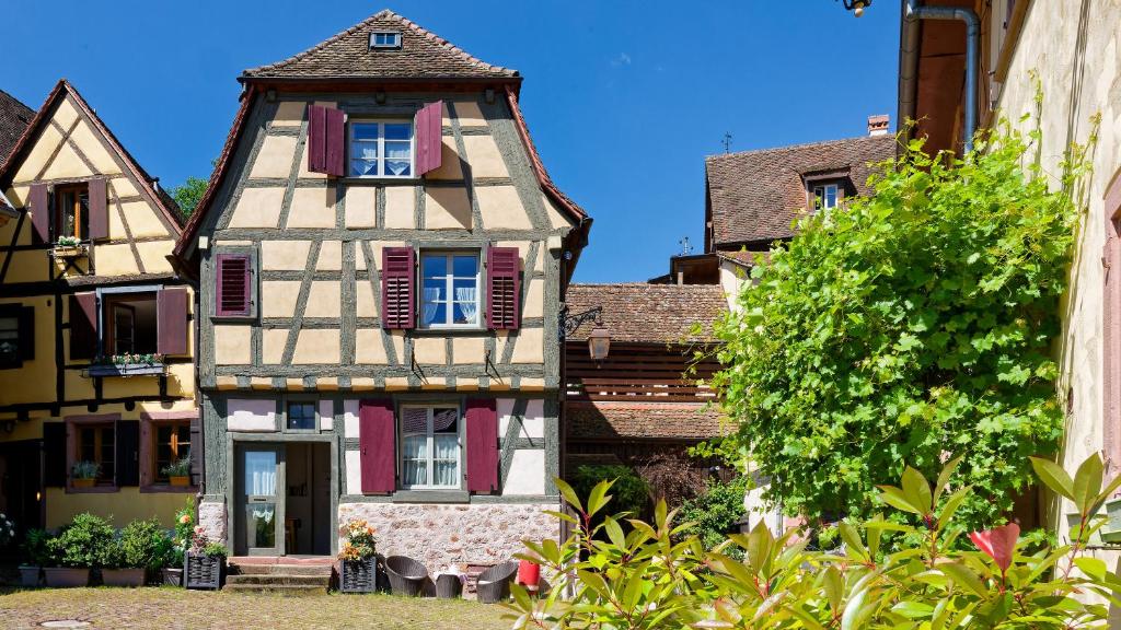 Remparts de Riquewihr - Le Petit Ours – photo 6