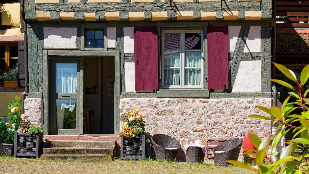 Remparts de Riquewihr - Le Petit Ours – photo 9