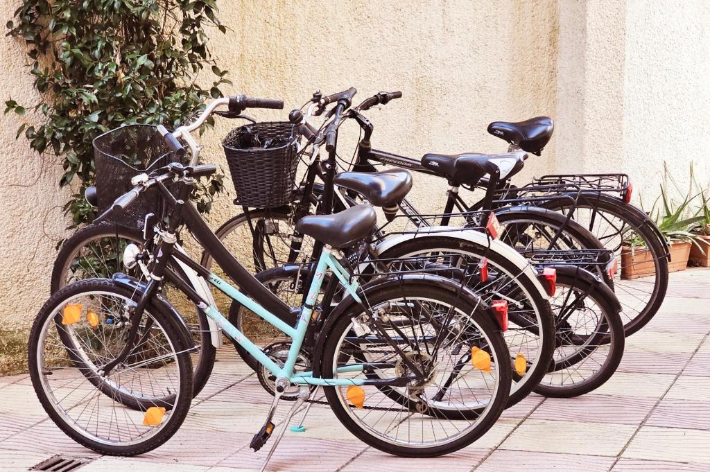 Jízda na kole v ubytování All Seasons Apartments - Free Parking & City Center nebo okolí