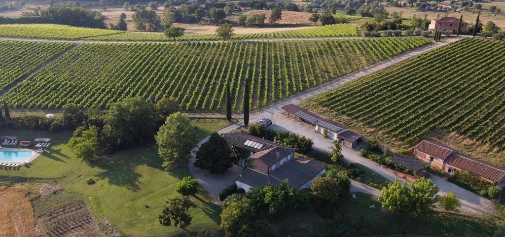 Πισίνα στο ή κοντά στο Agriturismo Fattoria Santa Vittoria