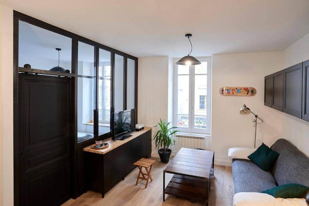un salon avec un canapé et une télévision dans l'établissement Appartement lumineux hyper centre, à Clermont-Ferrand