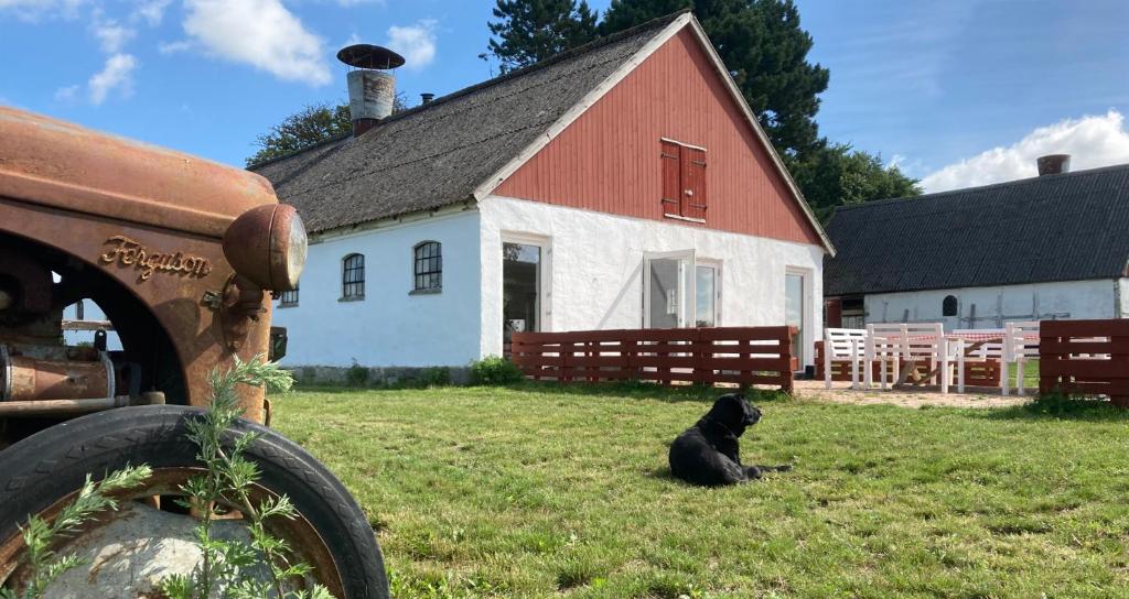 Zahrada ubytování Dambækgaard Sustainable Farm