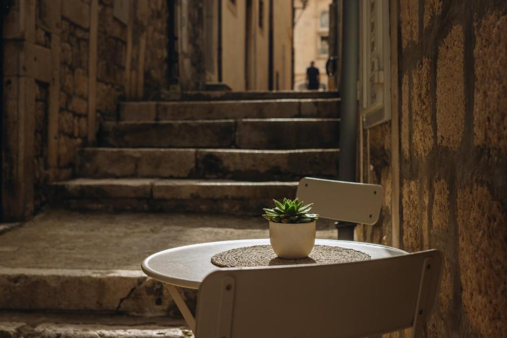 Fotografie z fotogalerie ubytování Luxury apartment Gabriela v destinaci Korčula