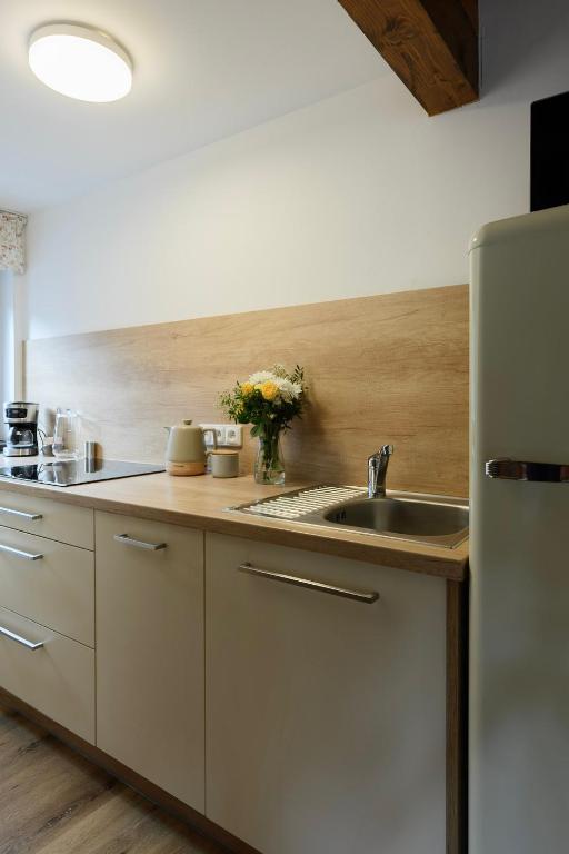 Kuchyň nebo kuchyňský kout v ubytování Apartmány Mezivodí